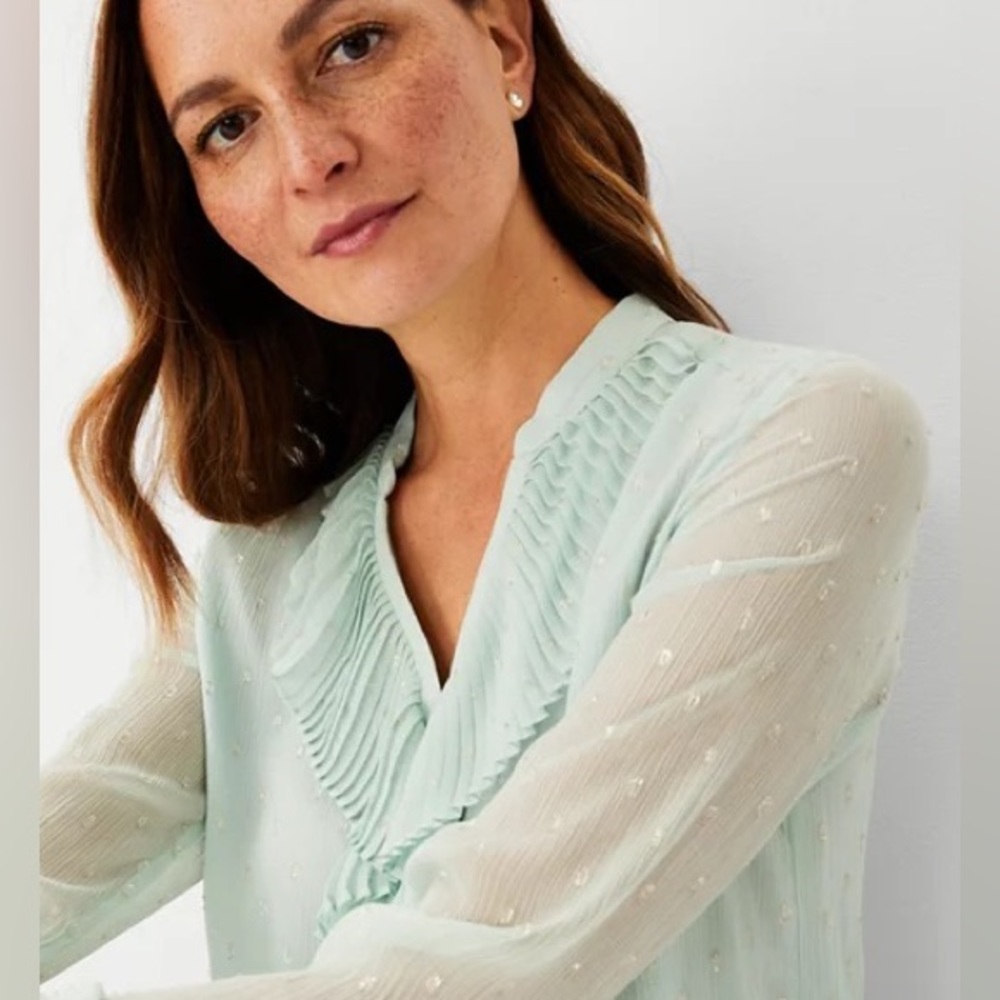 Shimmer Pleated Ruffle Blouse
